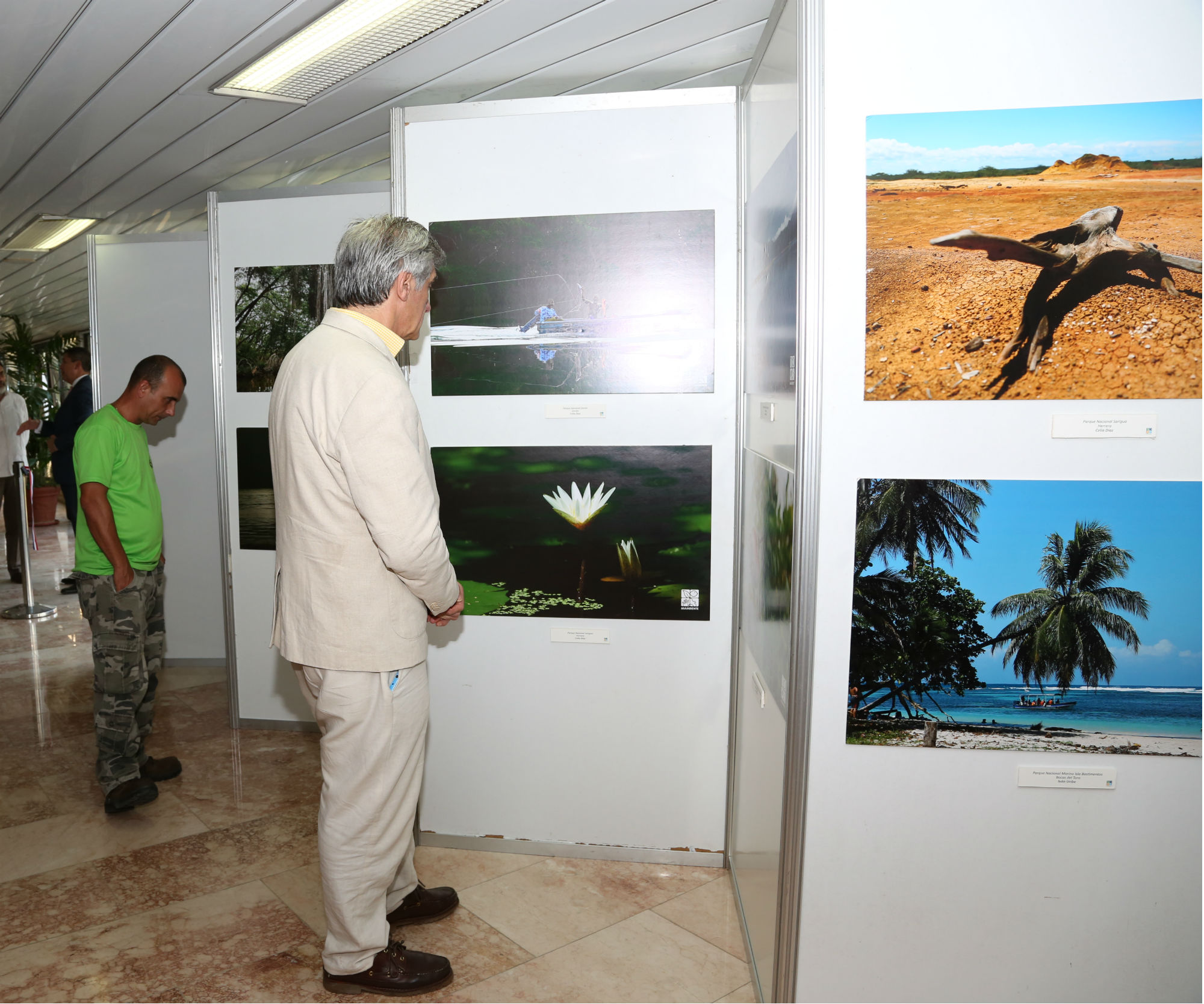 Parte de la exposición. Foto: Cortesía MiAmbiente