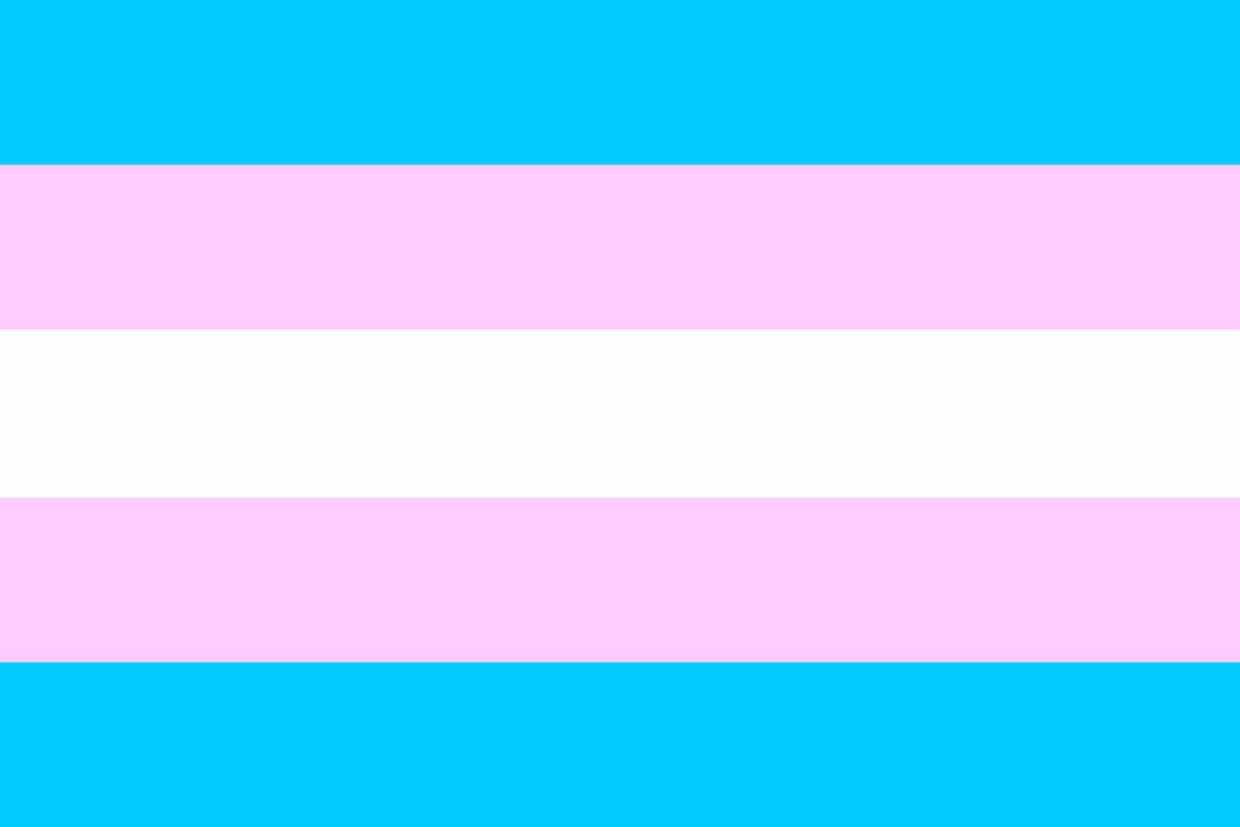 Bandera oficial del orgullo transexual